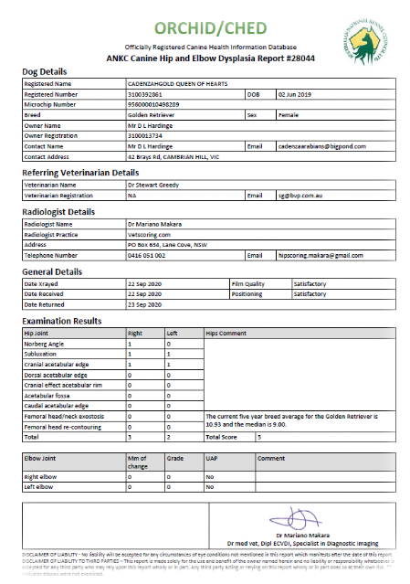 Picture of Cadenzahgold Hip Score evaluation
