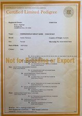 Limited Registration Certificate ANKC Image of Limited Registration Certificate ANKC