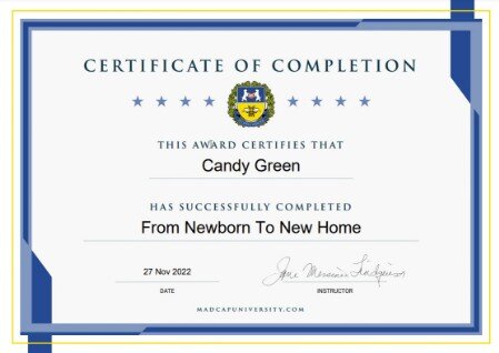 From Newborn to New Home From Newborn to New Home