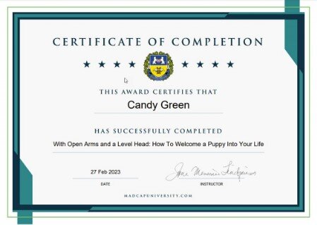 With Open Arms and a Level Head: How to Welcome a Puppy Into Your Life With Open Arms and a Level Head: How to Welcome a Puppy Into Your Life
