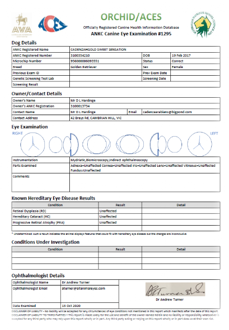 Picture of Cadenzahgold Eye Certificate - Orchid / ACES
