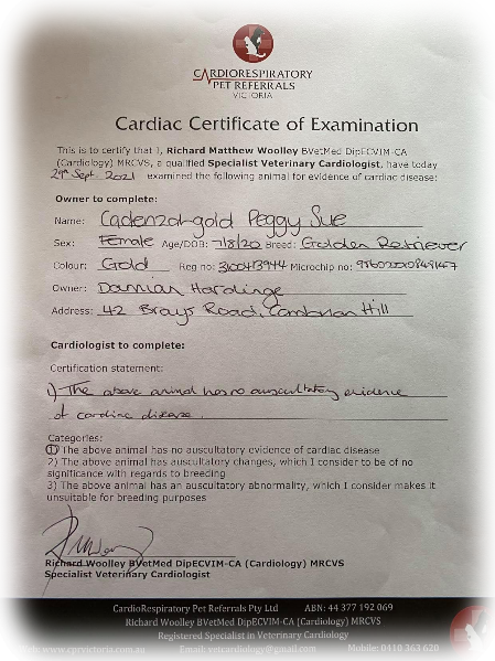 Picture of Cadenzahgold heart certificate